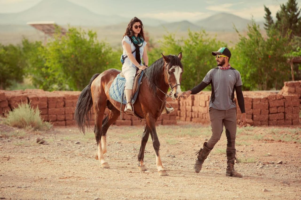 Ecolodge L'Ile De Ouarzazate Tarmigt ภายนอก รูปภาพ