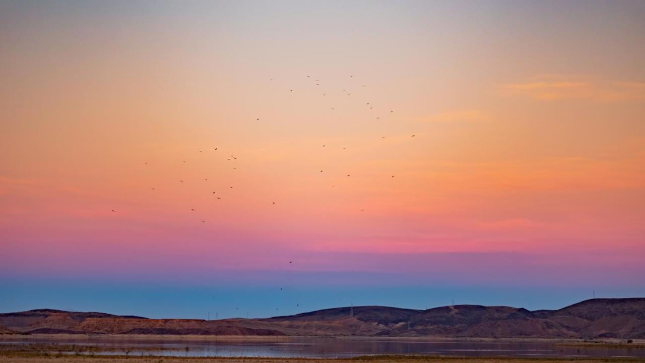 Ecolodge L'Ile De Ouarzazate Tarmigt ภายนอก รูปภาพ